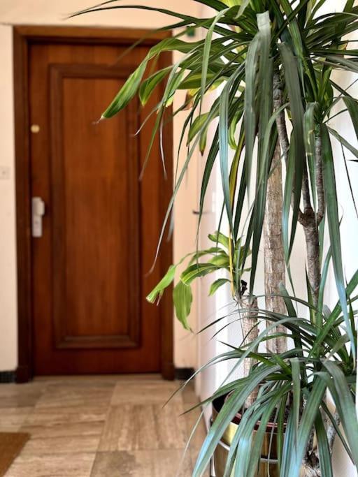 Eze Roc Apartman Kültér fotó